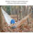 Handmade Mayan hammock