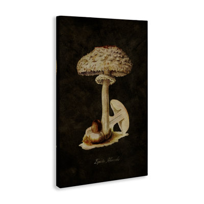 Vintage Mushroom Study Canvas Wall Art by Tina Higgins Designs, Inc.