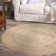 Arlean Hand Braided Striped Indoor Rug