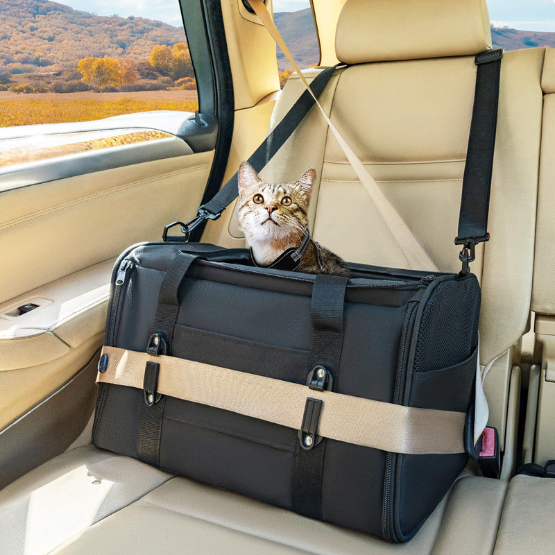 Porte-chats et sièges d'auto à parois souples, Noir