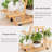 Nancy Wood Plant Stand