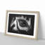 The Eye of a Zebra - Picture Frame Graphic Art Print-56864568-56864573