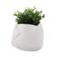 Contenant décoratif de jardin intérieur / extérieur texturé en pot de 7 po - blanc