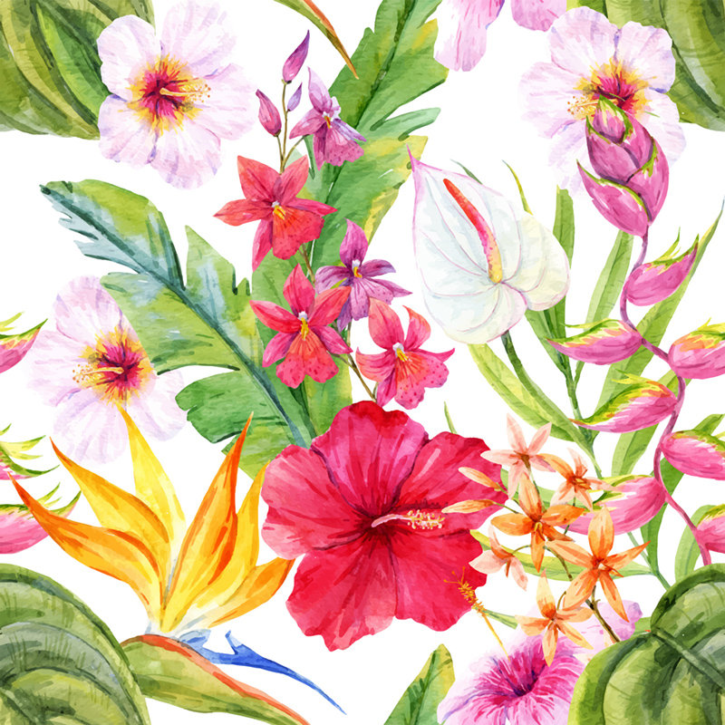 Maxille Matte Wallpaper Roll, 250 x 250cm