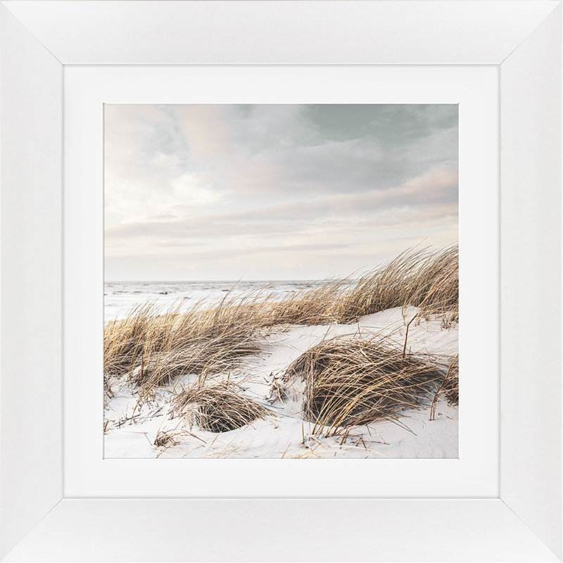 PICTURE IN THE FRAME