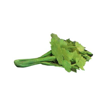 Statue céleri surdimensionnée de légumes