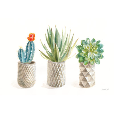Desert Greenhouse VIII by Danhui Nai - Wrapped Canvas Painting