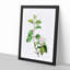 Blackhaw Tree Flowers by Pierre-Joseph Redoute - Picture Frame Art Print-55512520-55512516
