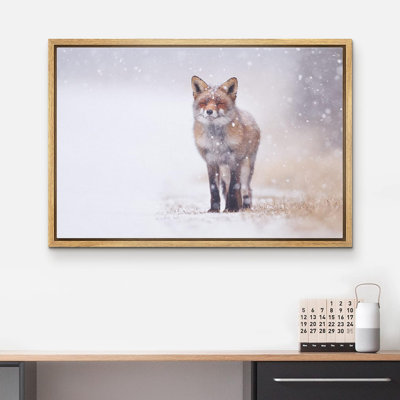 Animals " Fox Enjoy The Snow "