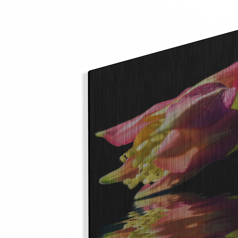 «Columbine Reflection» par Pamela Plummer, H 12 po x l 16 po