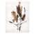 Image Brush Gel