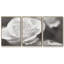 Roseudes IV - Toile encadrée multi-pièces-314373208-314373211