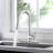 Vetta Pull Down Kitchen Faucet-100749373