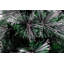 2' H Lighted Artificial Christmas Tree