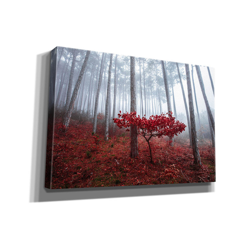 Art mural sur toile Millwood Pines, H 18 po x l 26 po x P 0,75 po