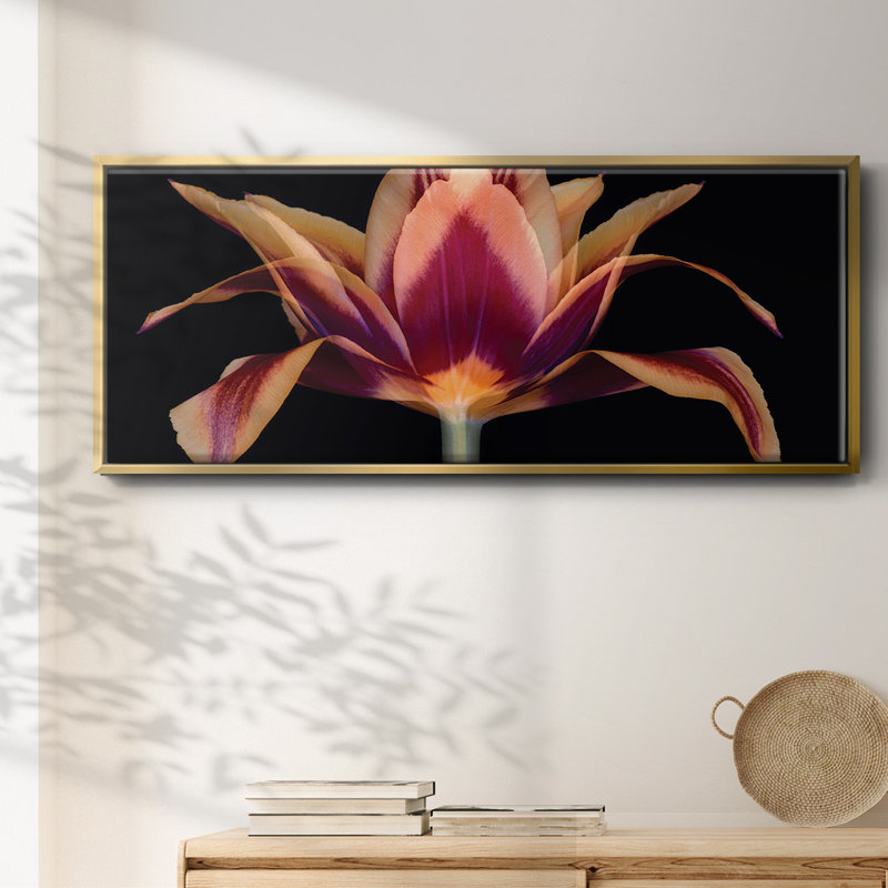 Red Tulip- Framed Canvas, 20" H x 50" W