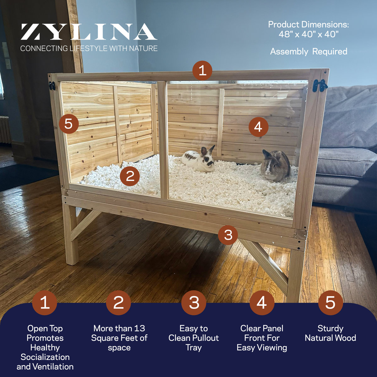 Zylina Raised Guinea Pig & Rabbit House & Reviews | Wayfair