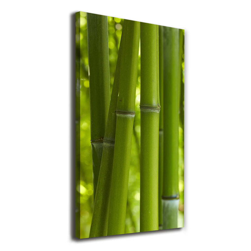 Bamboo Forest - Wrapped Canvas Print
