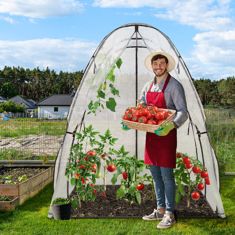 Casch 6 Ft W x 6 Ft D Mini Lean-To Greenhouse
