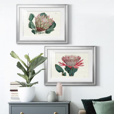 " Protea N70 " 2 - Pieces