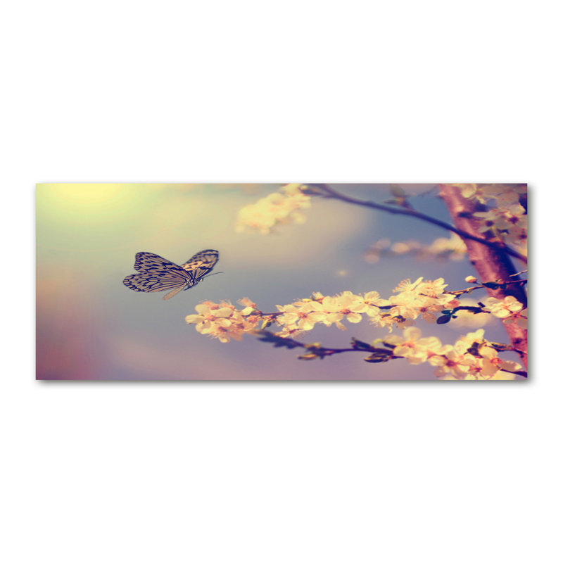 Cherry Blossom And Butterfly - No Frame Print on Canvas