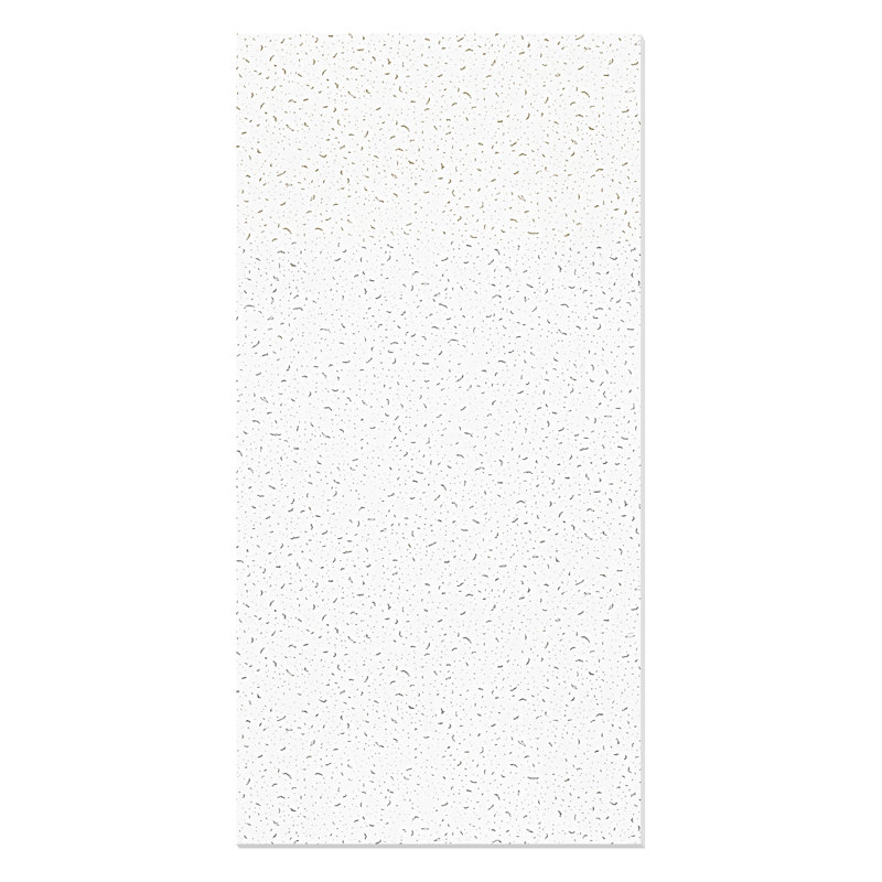 10 pièces de tuile de plafond rectangulaire en PVC 2 pi x 4 pi, panneau mural lisse (80 pieds carrés / caisse)
