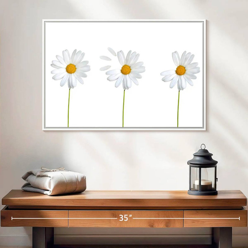 Marguerites plumées, Cadre flottant blanc, 25 po x 17 po