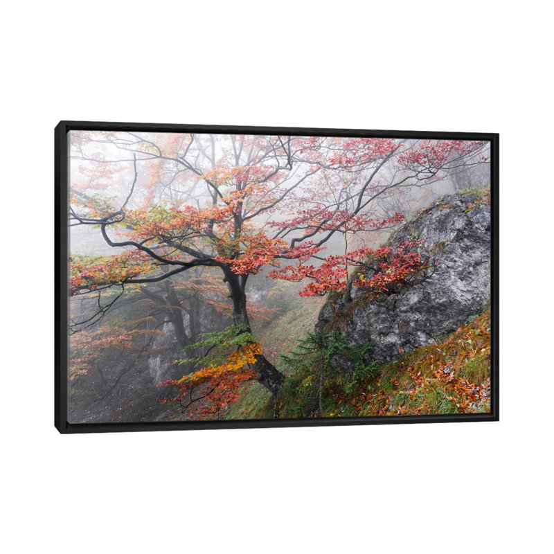 «Euphoria», reproduction de photo sur toile, H 18 po x l 26 po x P 1,5 po, Toile avec cadre flottant noir, Pas de tapis