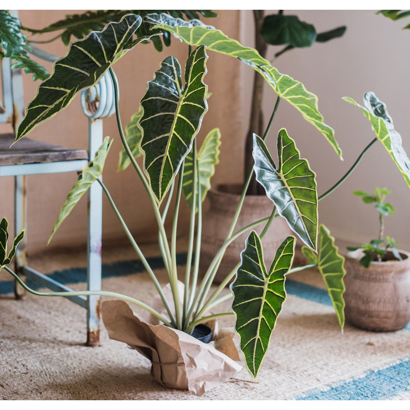 Plante alocasia artificielle en pot