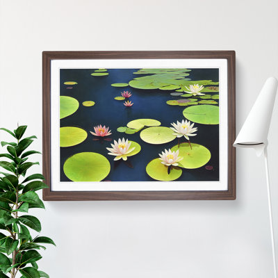 Extraordinary Water Lily Pond 1 Piece Single Picture Frame Wall Art