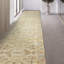 Oriental Area Rug