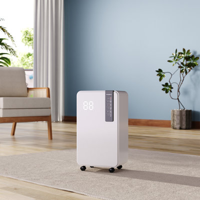 White Dehumidifier
