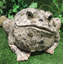 Statue de jardin classique "Earl" Toad Hollow-1476390756