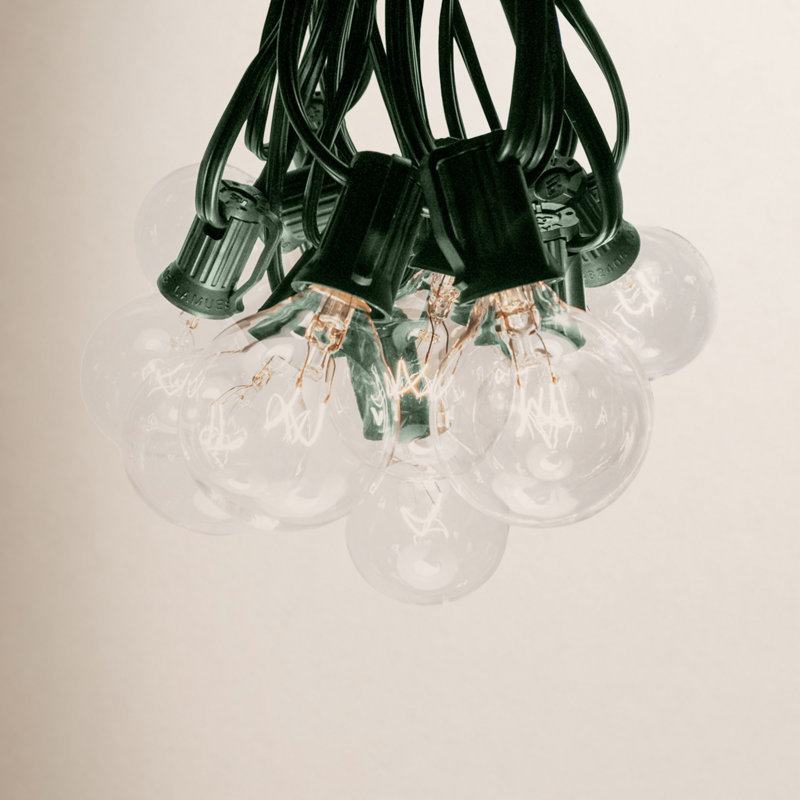 Alsip Globe Outdoor String Lights, Green