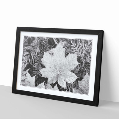 Ansel Adams - Single Picture Frame Print