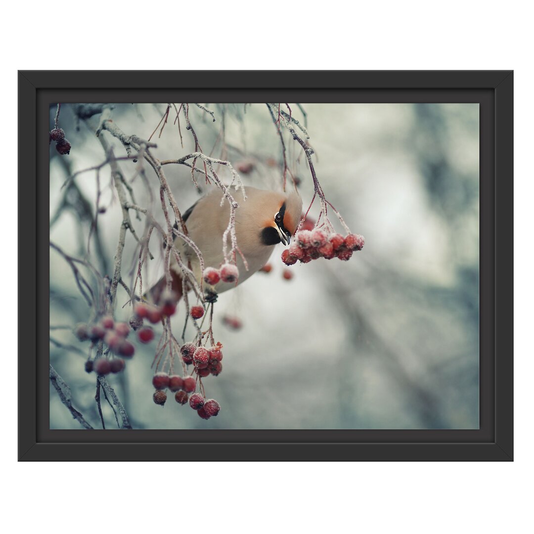 Gerahmtes Wandbild Kleiner VogelVogelbeerbaum