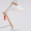 Gia Adjustable Desk Lamp