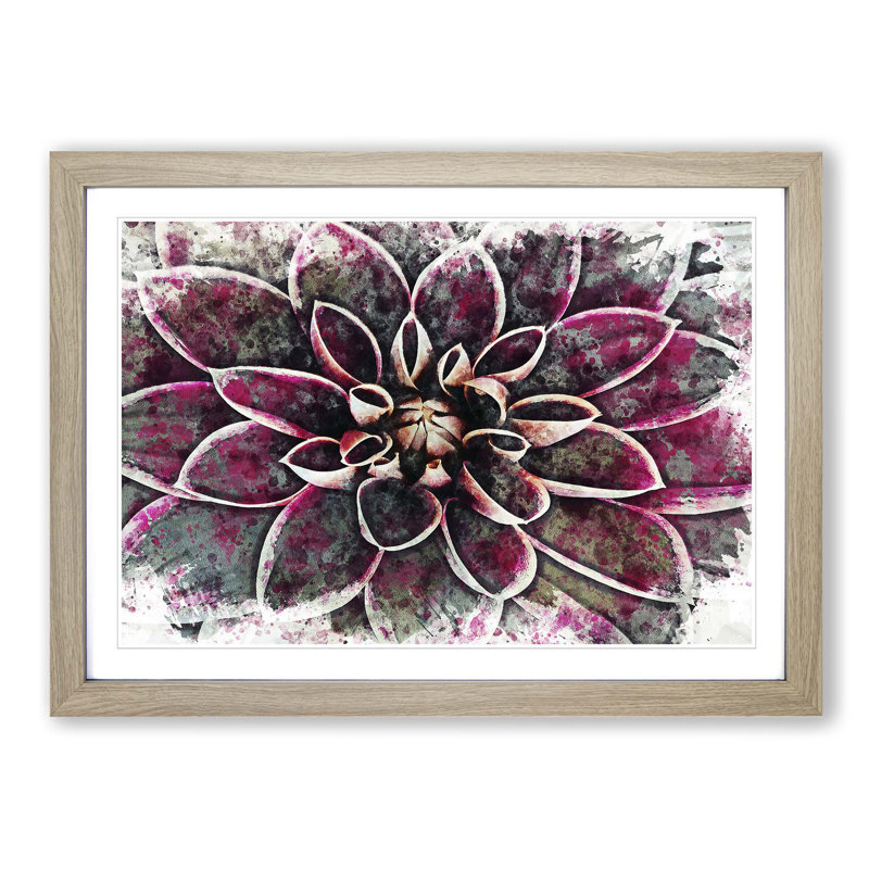 Pink Dahlia Flower in Abstract - Picture Frame Graphic Art Print, Oak, 40cm H x 60cm W x 2cm D