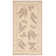 Herefordshire Performance Oriental Rug