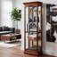 Brickey Lighted Curio Cabinet