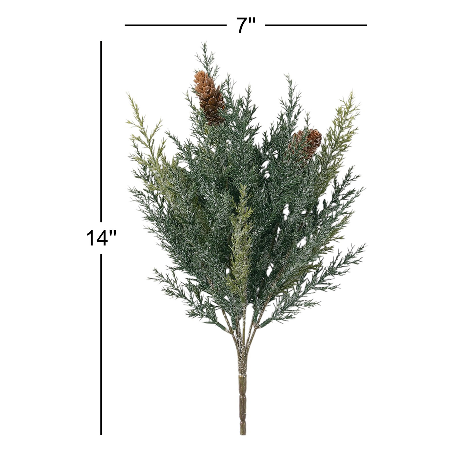 Arborvitae Stems