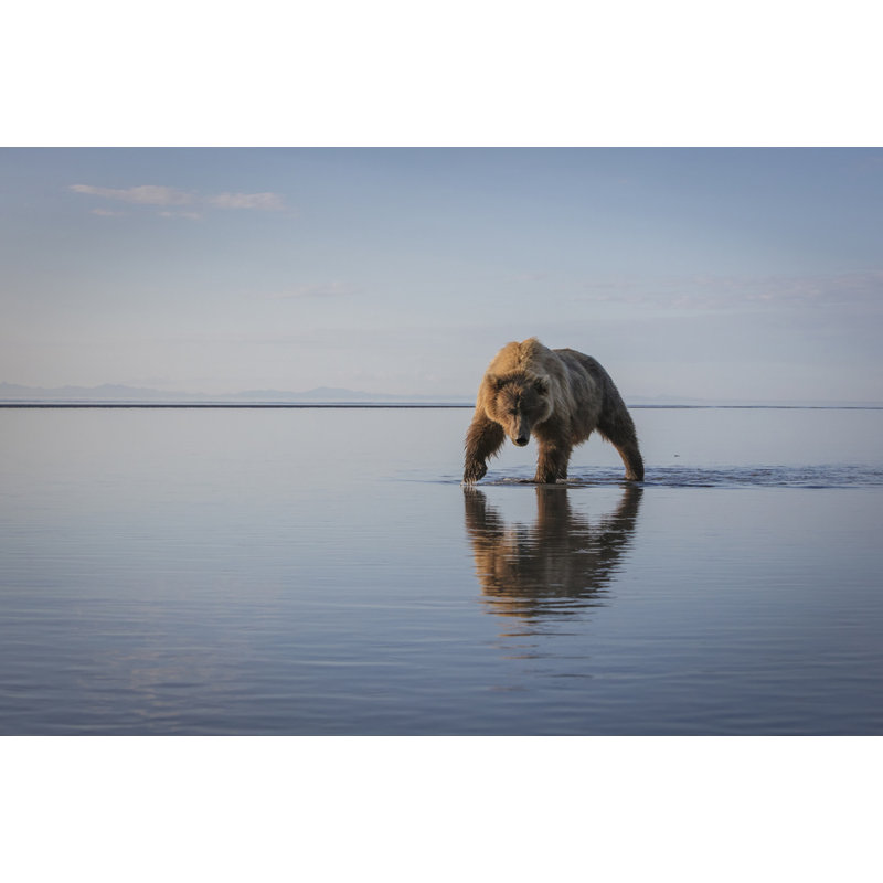 Wrapped Canvas Print, 81.28 cm H x 121.92 cm W
