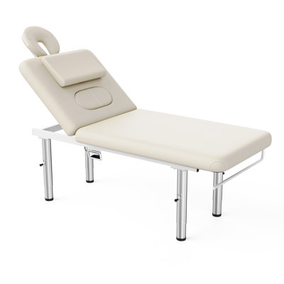 75" Professional Massage Table Backrest and Height Adjustable Physical Therapy Table Beauty Lash Spa Tattoo Bed With Stainless Steel Legs