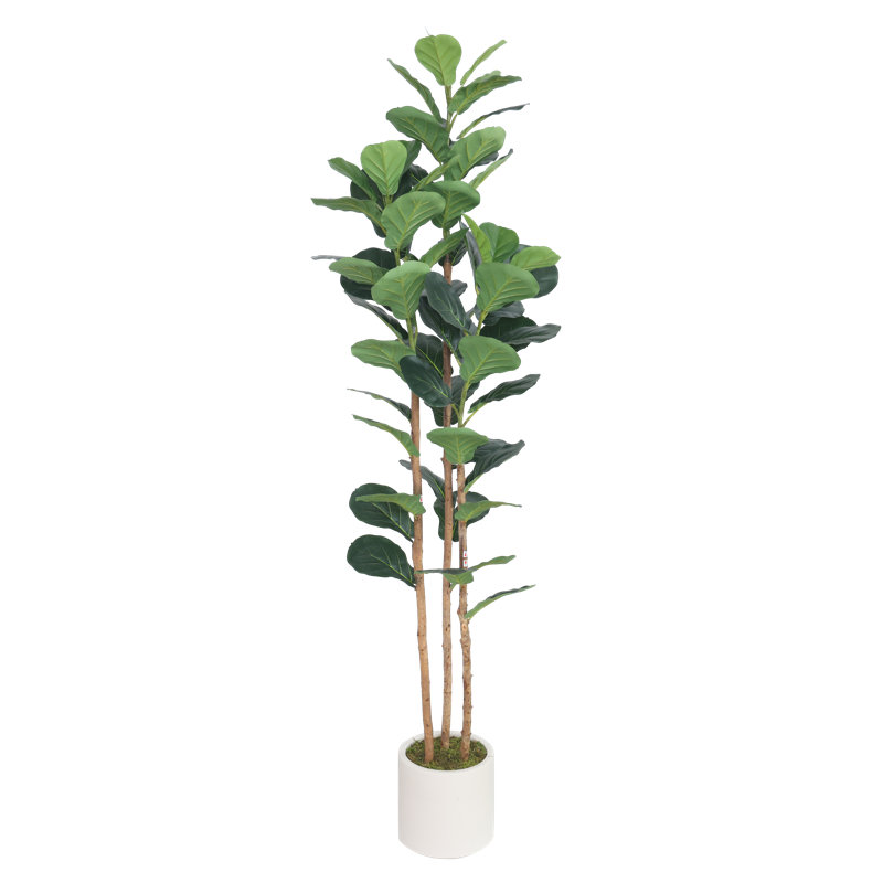 6ft Artificial Fiddle Leaf Fig Tree with Natural Wood Trunks in White  Pot