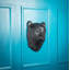Décoration murale tête d'ours noir