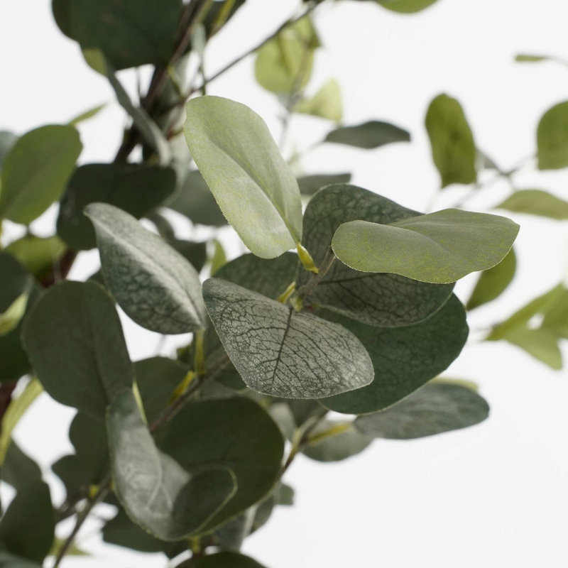 215cm Faux Eucalyptus Tree