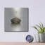 «Time Out 1» par Carlos Casamayor-987956087