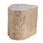 Signature Designs Trunk Segment Side Table-24383367