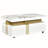 Storage Coffee Table With 2 Drawers-1832333505-1836122863