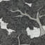 Eternal Oak Wallpaper-1689136545